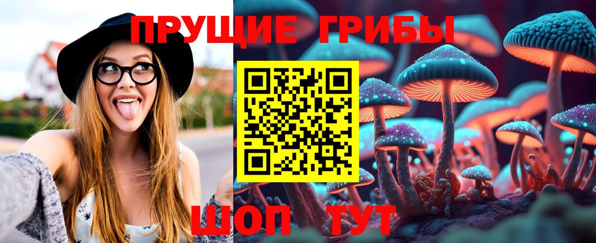 Псилоцибиновые грибы ЛСД Среднеуральск